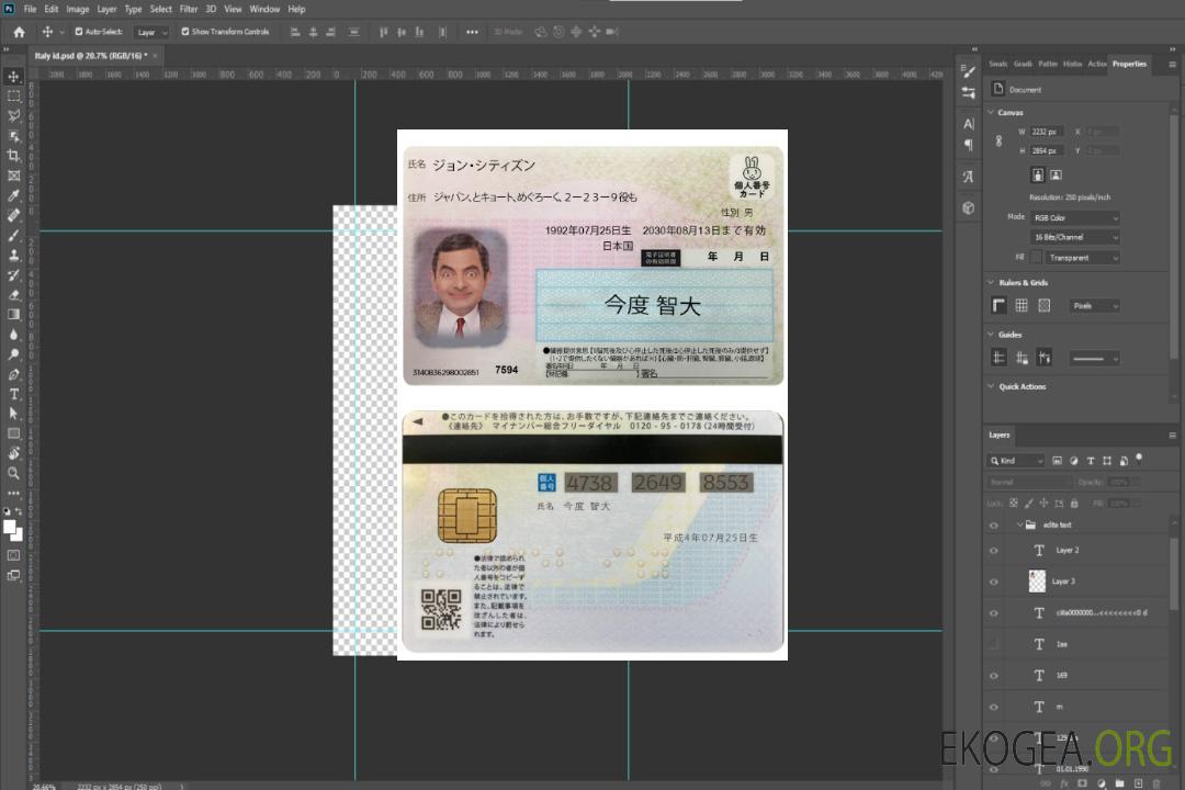 Carte d'identité japonaise template
